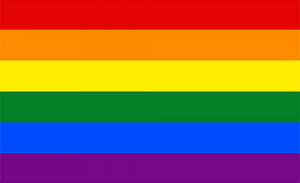 Rainbow Flag- Wyndham Clinic